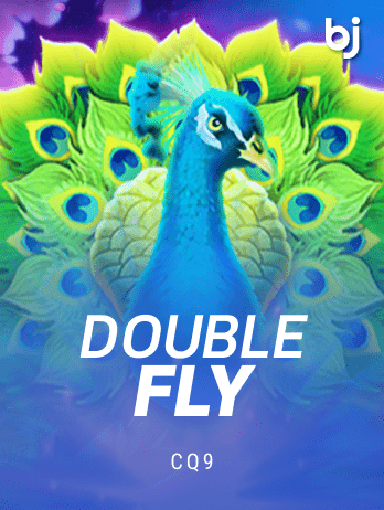 Double Fly screenshot